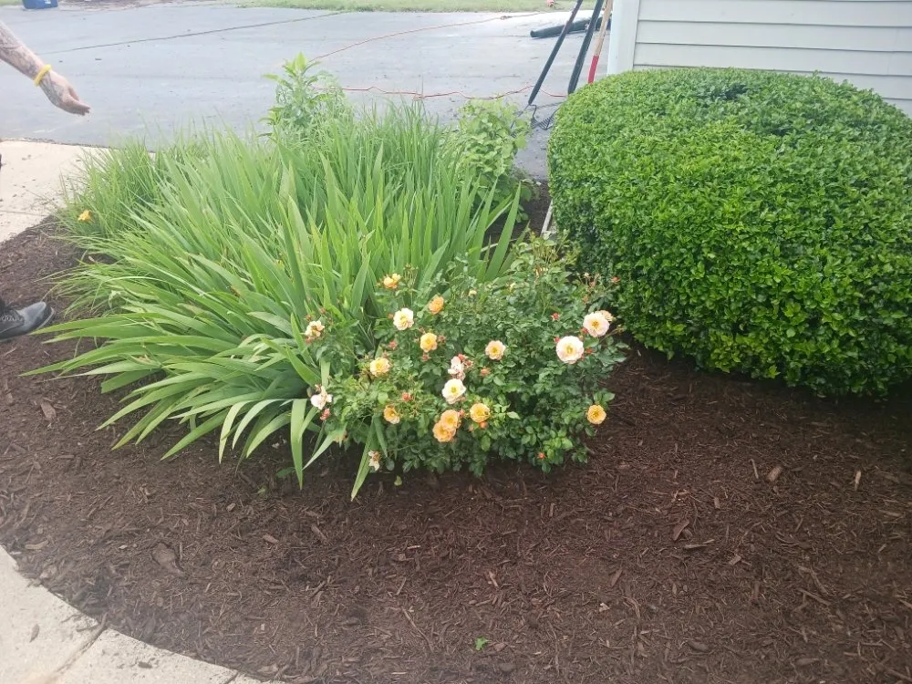 Top-rated landscape installation for outdoor upgrades across Novi, MI - Creative Stoneworks