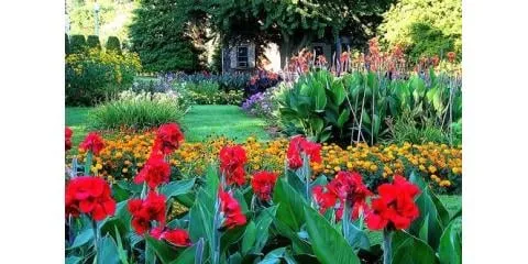 Professional outdoor landscaping in Columbia, MO - Creative Surroundings