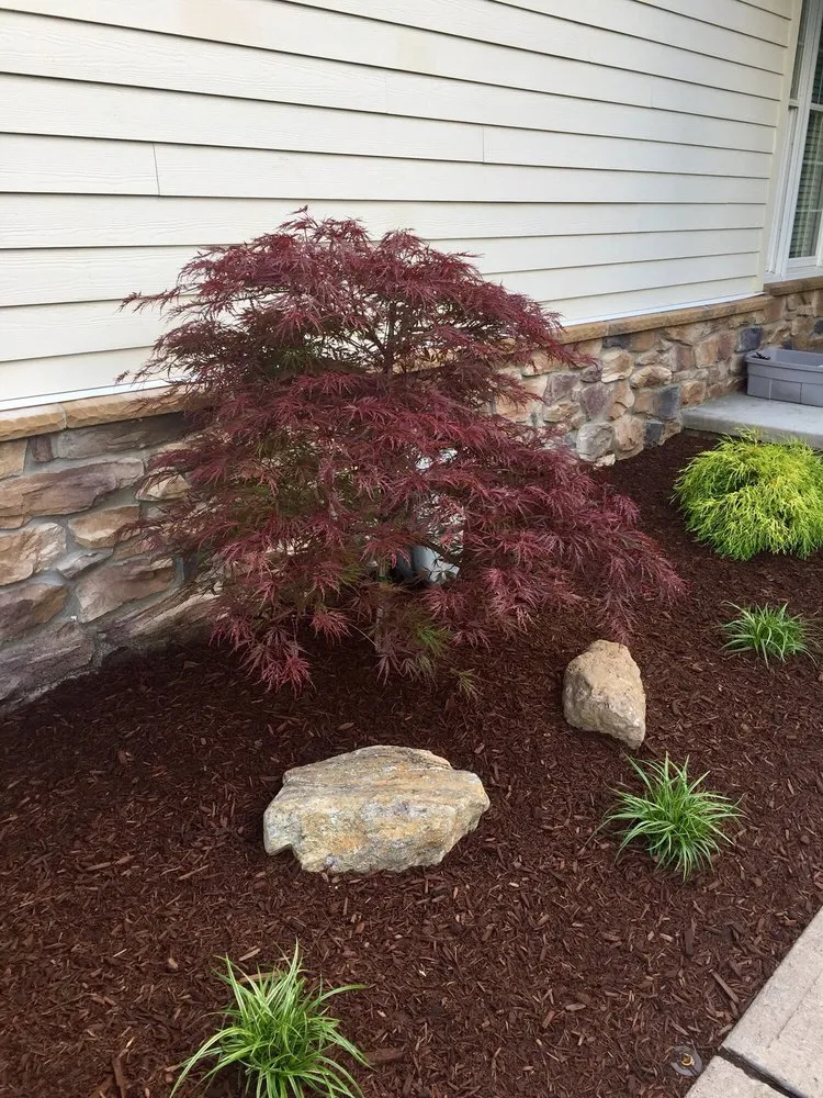 Top-rated yard cleanup service in Denville, NJ by Creative Touch Landscaping