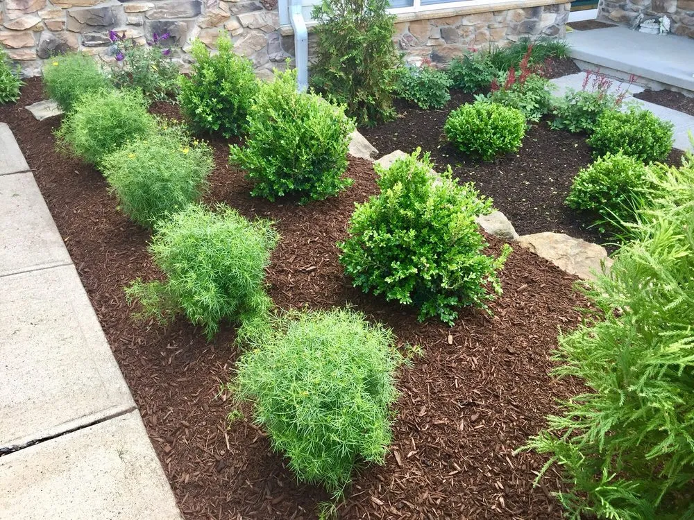 Top-rated yard maintenance in Denville, NJ by Creative Touch Landscaping