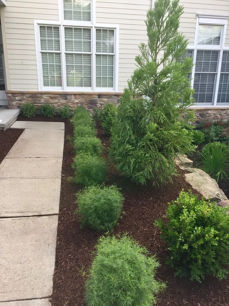 Professional lawn care service experts serving Denville, NJ - Creative Touch Landscaping