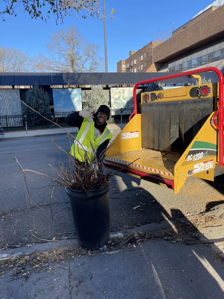 Reliable landscape design with custom design in Jersey City, NJ by Creative Tree Service