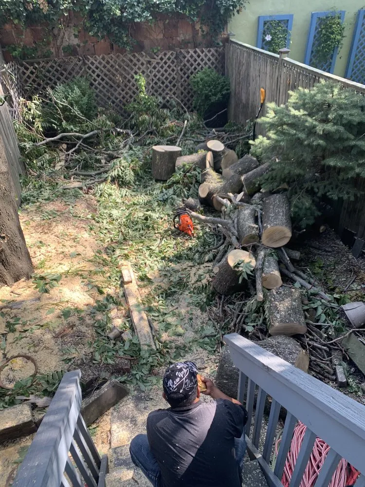 Reliable outdoor landscaping for homes in Jersey City, NJ by Creative Tree Service