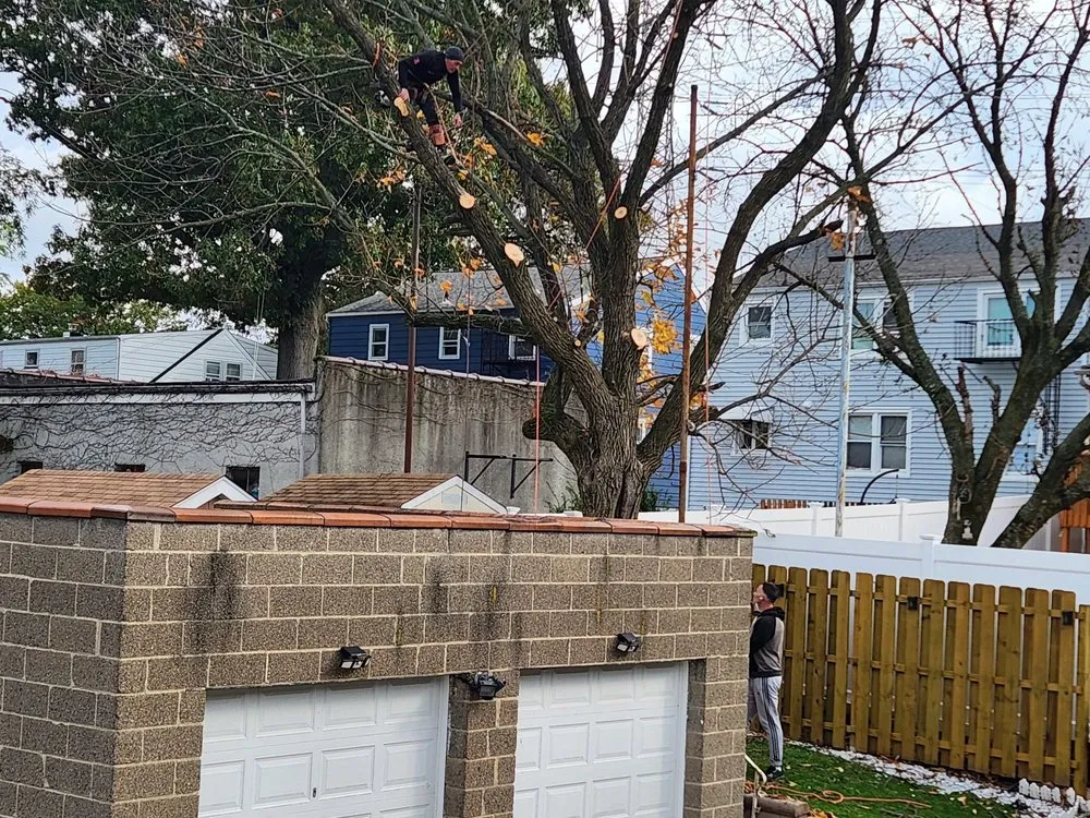 Custom yard cleanup service for homes across Jersey City, NJ - Creative Tree Service