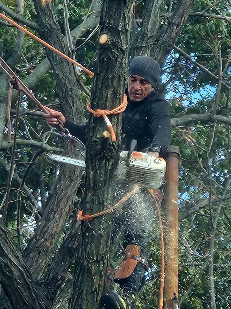 Custom yard maintenance for beautiful yards across Jersey City, NJ - Creative Tree Service