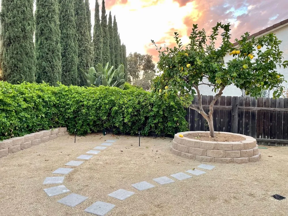 Custom lawn care service for residential properties in San Diego, CA by Creative Turf Install