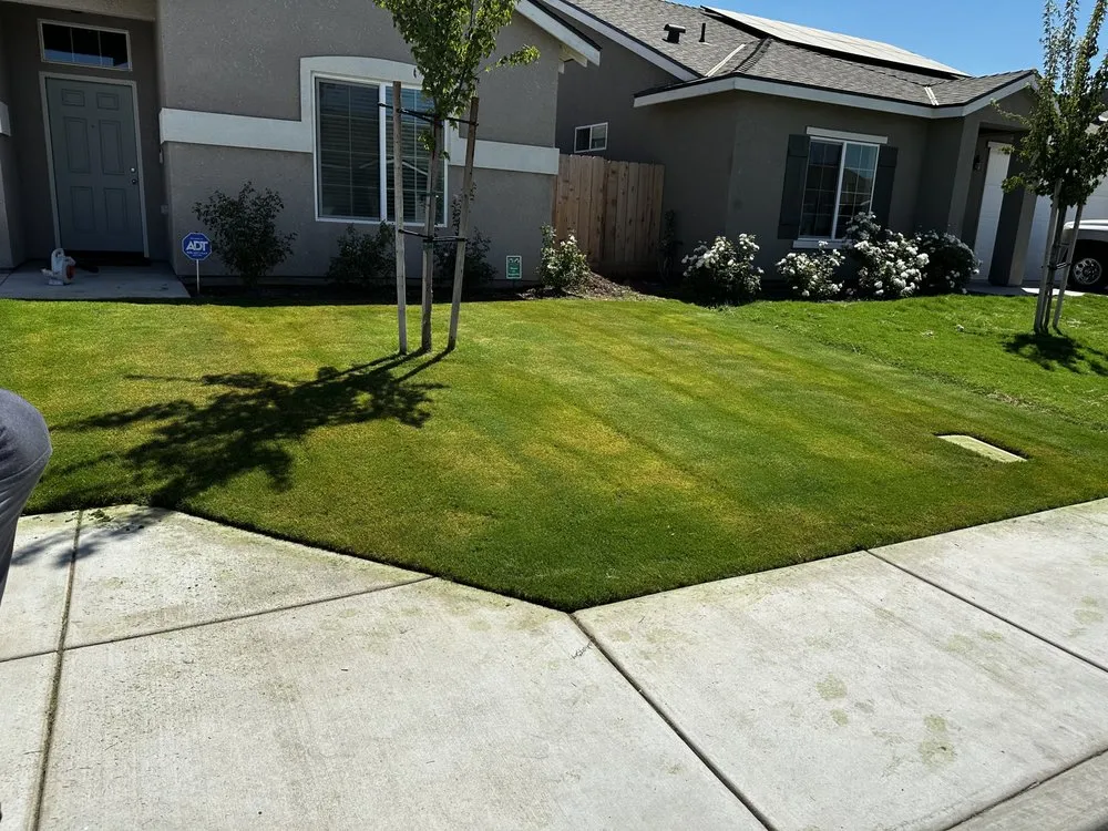 Custom landscape installation for outdoor upgrades in Tulare, CA by Creative Views Lawn and Landscape