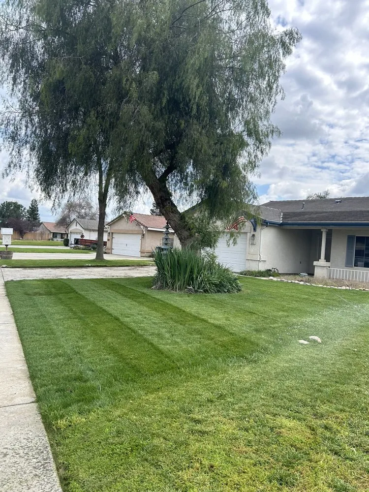 Professional landscaping services in Tulare, CA - Creative Views Lawn and Landscape