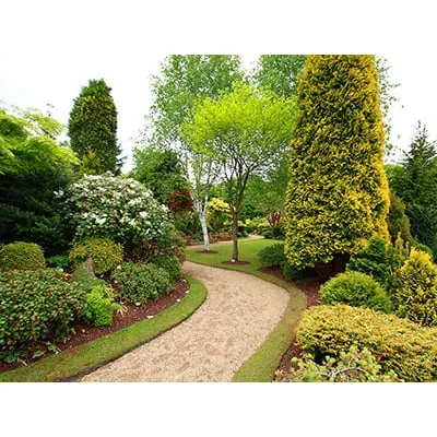 Expert landscaping services in O'Brien, FL - Creative Vision Tree & Landscape Services