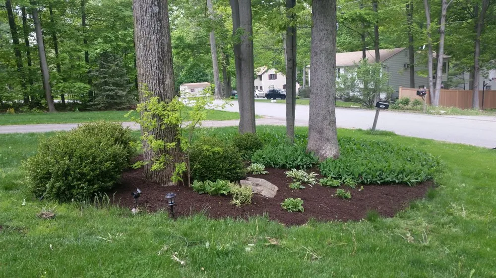 Reliable yard maintenance for beautiful yards in Glenham, NY by Creative Visions Landscaping