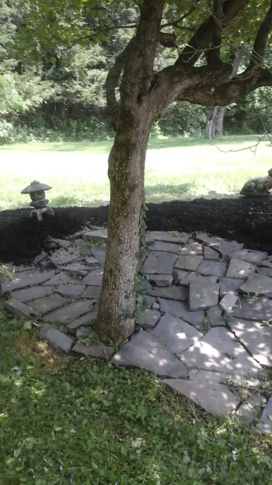 Affordable lawn mowing service experts serving Glenham, NY - Creative Visions Landscaping