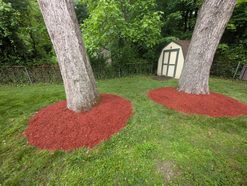 Custom lawn mowing service in Glenham, NY by Creative Visions Landscaping