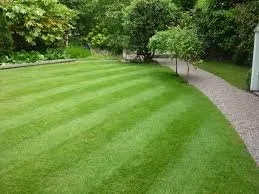 Top-rated yard maintenance in Spokane, WA - Creative Visions