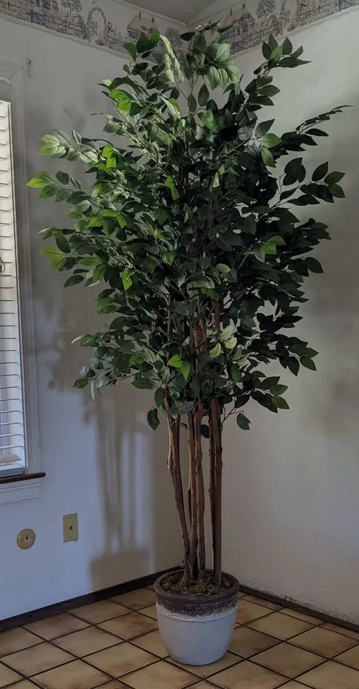 Local landscape design in Escalon, CA by Creative Water Gardens