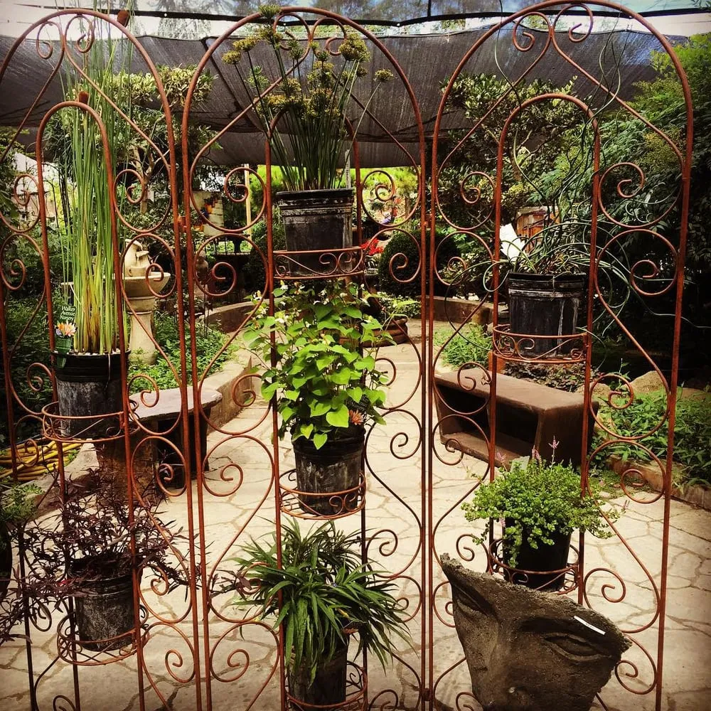 Top-rated yard cleanup service experts serving Escalon, CA - Creative Water Gardens