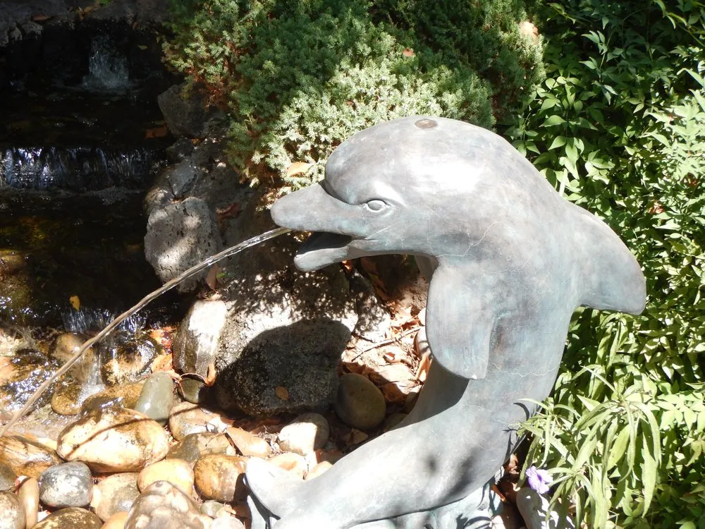 Professional yard maintenance for homes in Escalon, CA by Creative Water Gardens