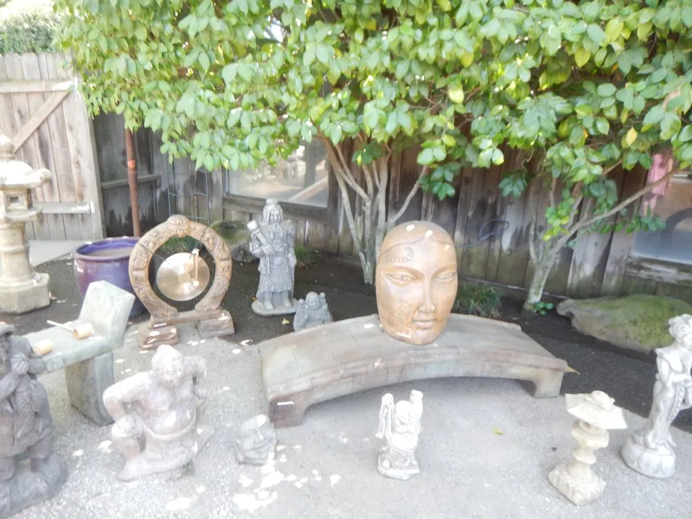 Expert lawn care service in Escalon, CA by Creative Water Gardens