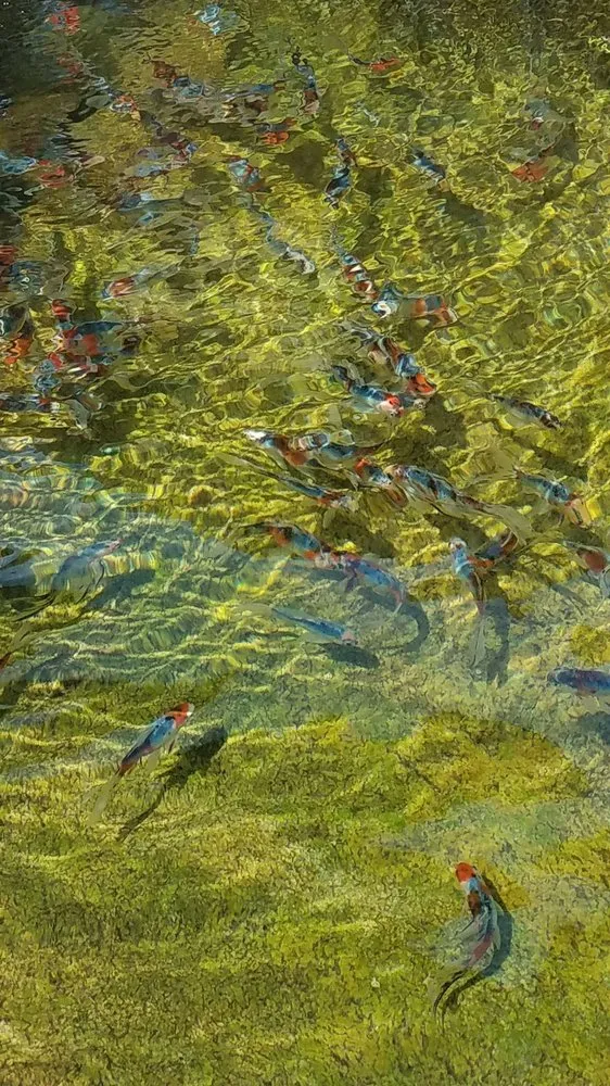 Top-rated landscape installation in Escalon, CA - Creative Water Gardens