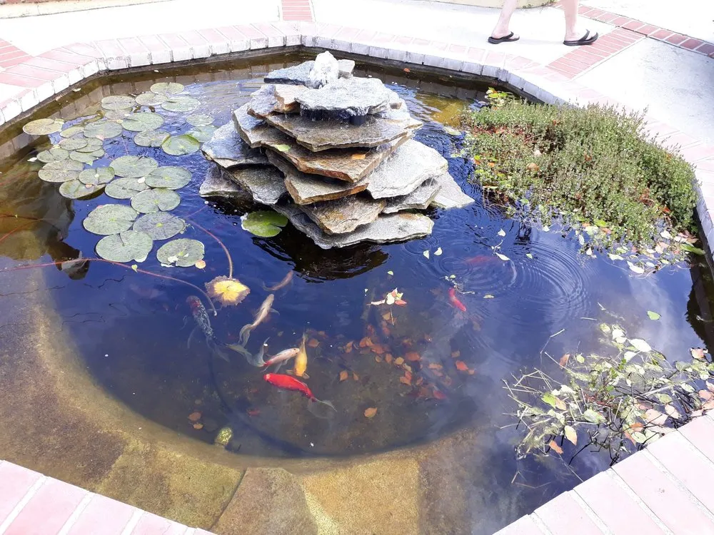 Affordable lawn mowing service experts serving Escalon, CA - Creative Water Gardens