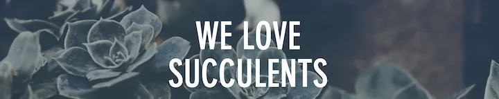 Trusted landscape design for residential properties in Escalon, CA by Creative Water Gardens