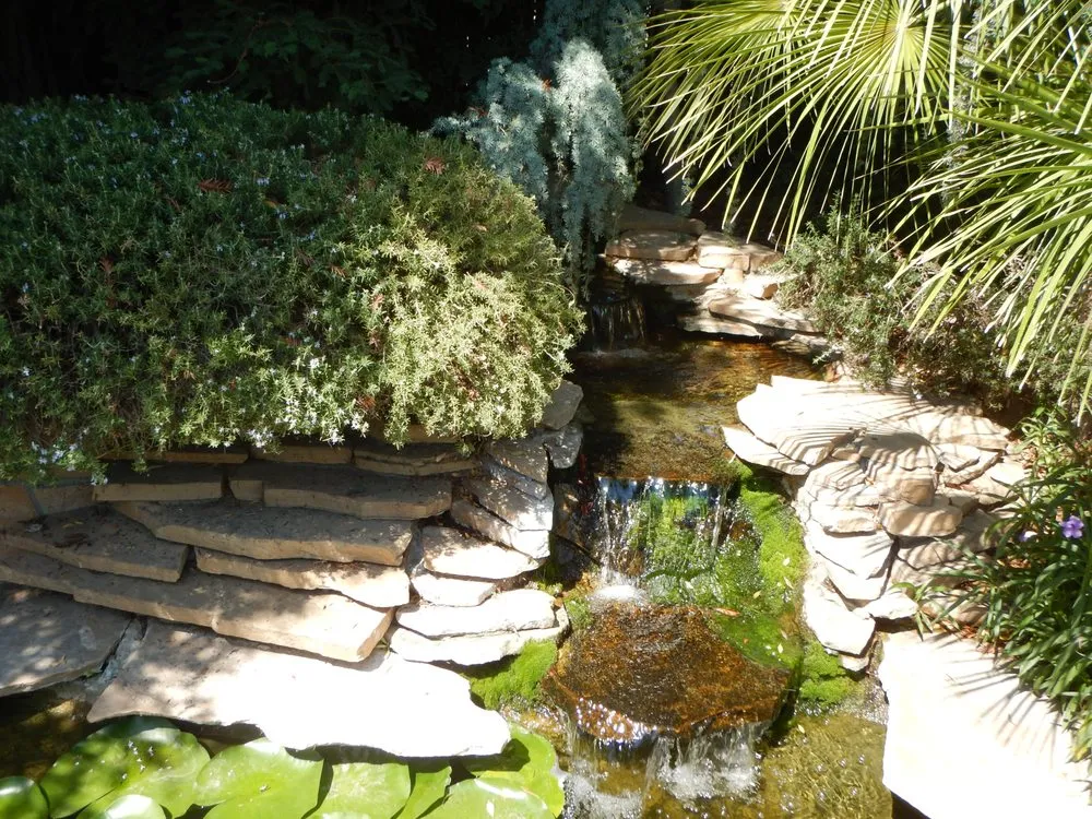 Reliable lawn mowing service in Escalon, CA by Creative Water Gardens