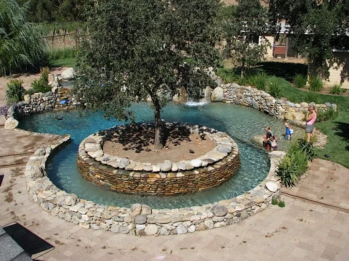 Professional garden landscaping in Danville, CA by Creative Yards and Pools