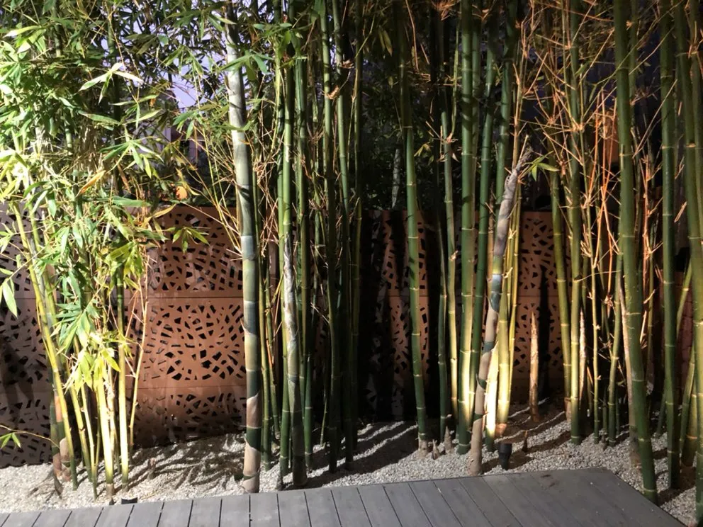 Expert landscape design experts serving San Marino, CA - Creative Zen Inc