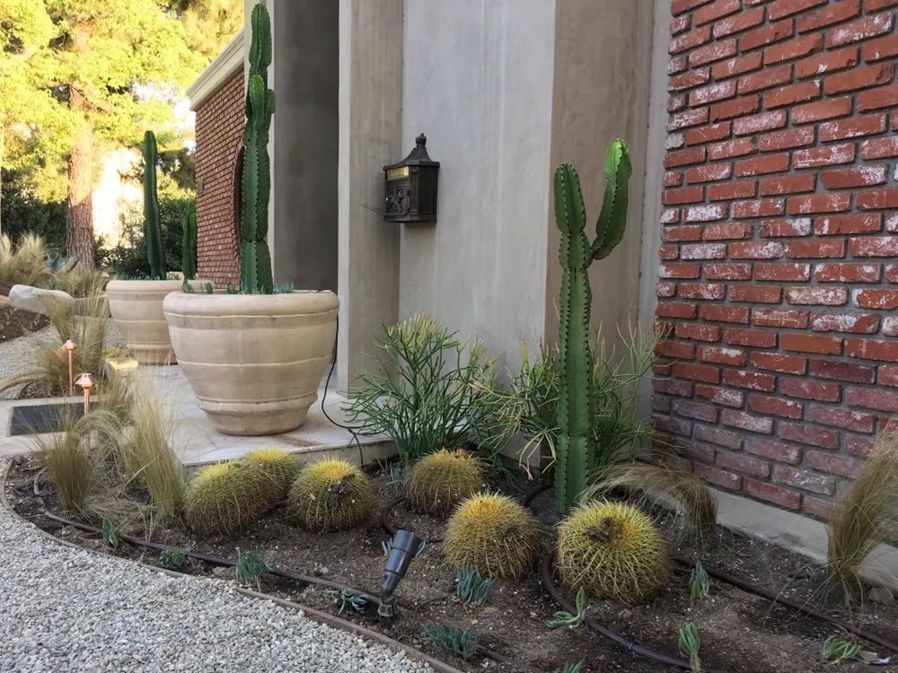 Expert yard maintenance in San Marino, CA by Creative Zen Inc