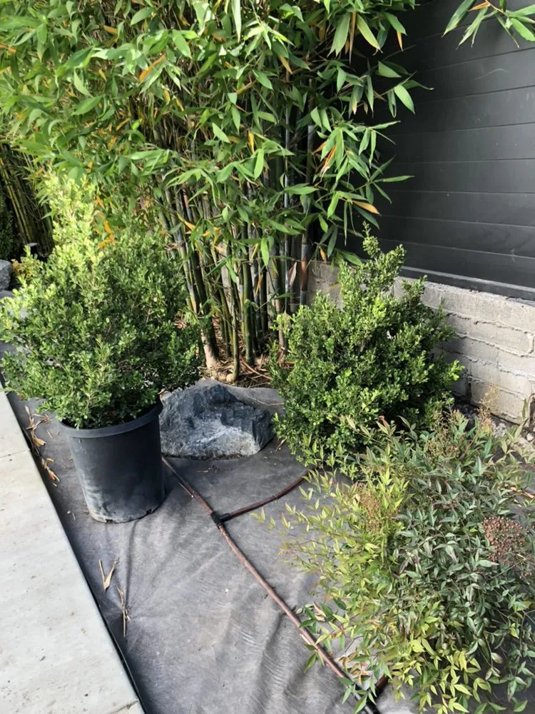 Affordable landscaping services for residential properties in San Marino, CA by Creative Zen Inc