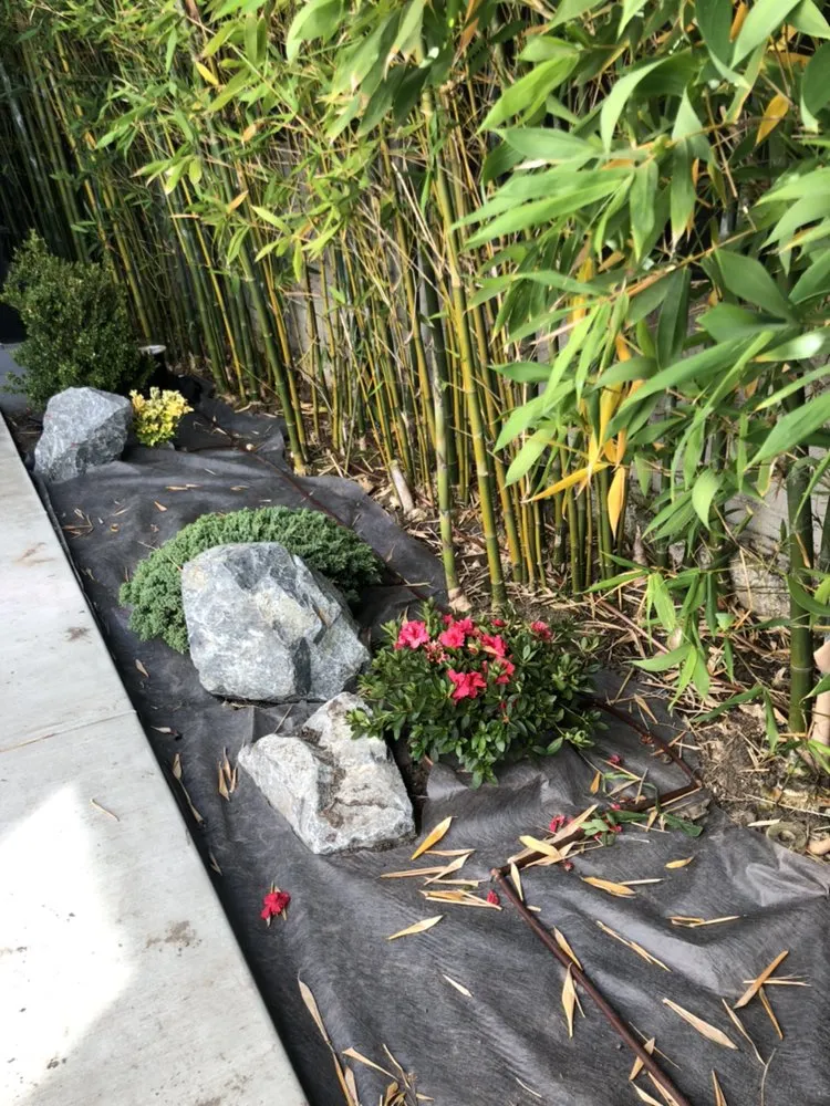 Local lawn mowing service near you in San Marino, CA by Creative Zen Inc