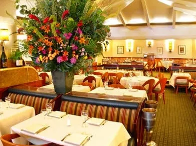 Reliable outdoor landscaping for year-round maintenance in San Marino, CA by Creative Zen Inc