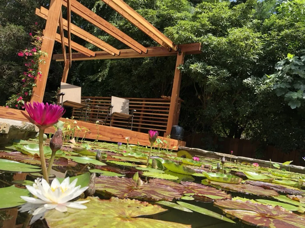 Custom landscape design for outdoor upgrades in San Marino, CA by Creative Zen Inc