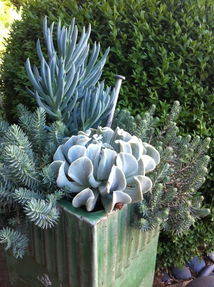 Affordable landscape installation in Atlanta, GA - CreativeSpaces Landscape Design