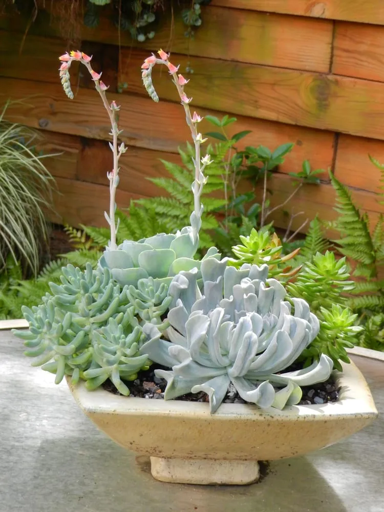 Custom lawn mowing service with custom design across Atlanta, GA - CreativeSpaces Landscape Design