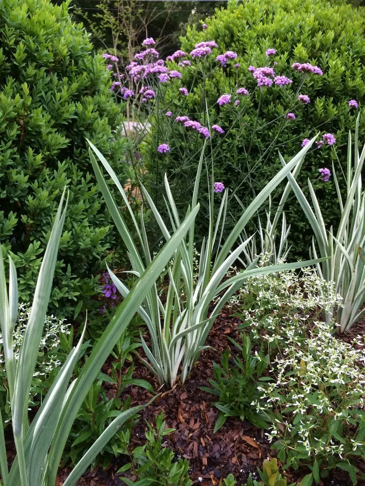 Local residential landscaping in Atlanta, GA by CreativeSpaces Landscape Design