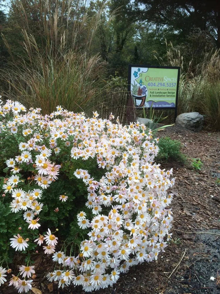 Trusted landscaping services in Atlanta, GA by CreativeSpaces Landscape Design