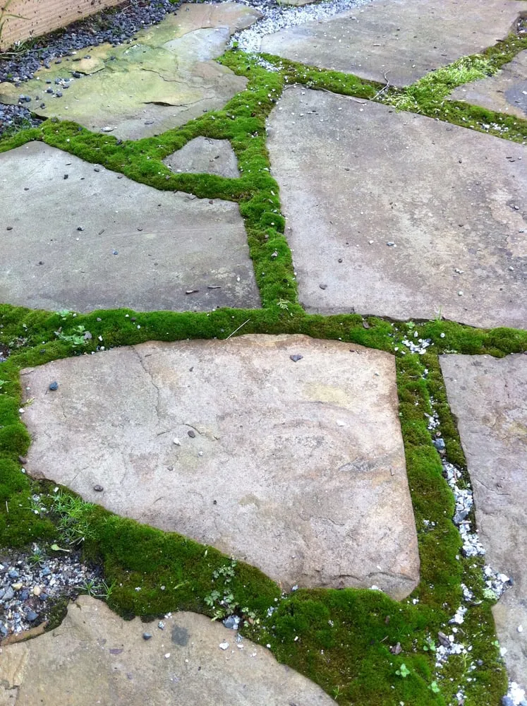 Reliable residential landscaping in Atlanta, GA by CreativeSpaces Landscape Design