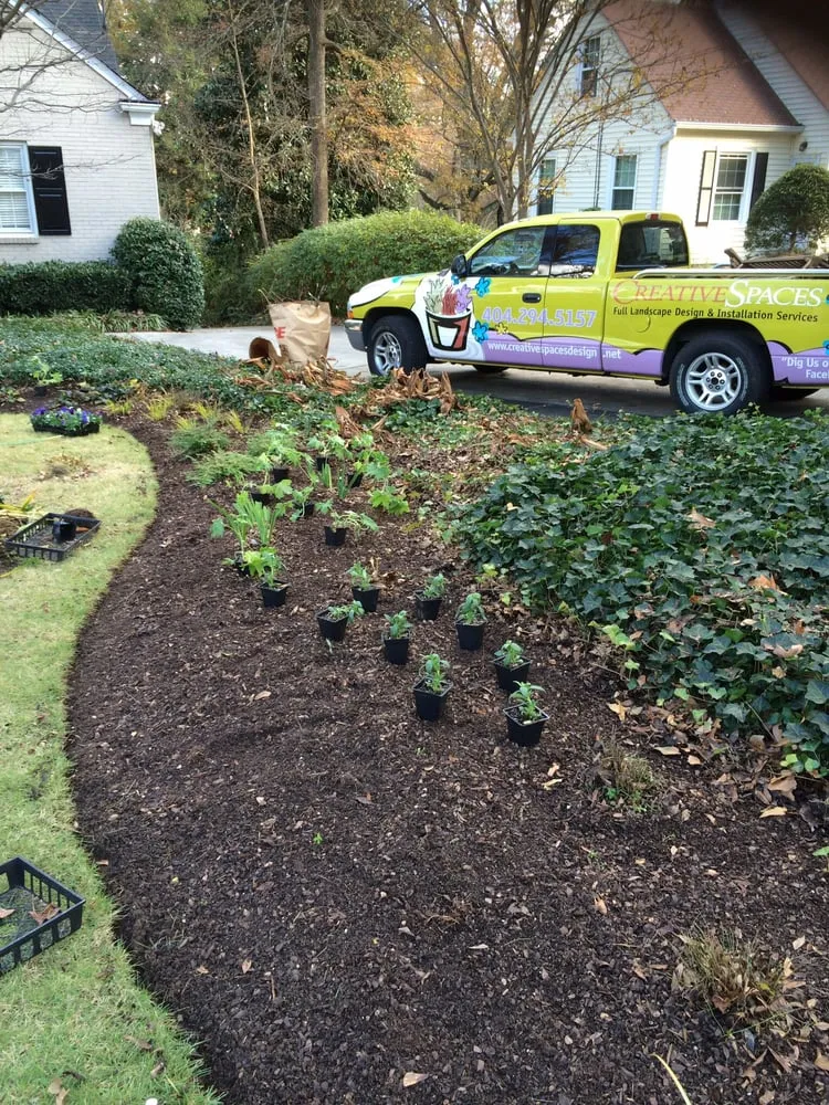 Custom yard cleanup service in Atlanta, GA by CreativeSpaces Landscape Design