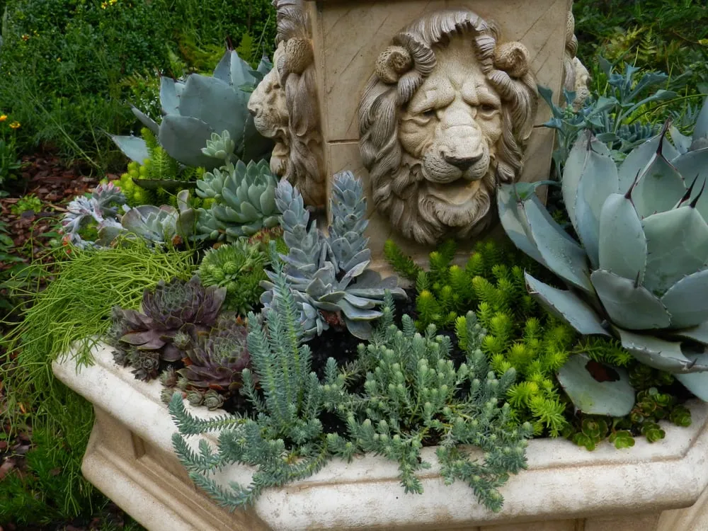 Top-rated landscape installation for beautiful yards across Atlanta, GA - CreativeSpaces Landscape Design