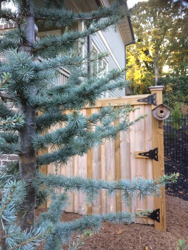 Local outdoor landscaping near you in Atlanta, GA by CreativeSpaces Landscape Design