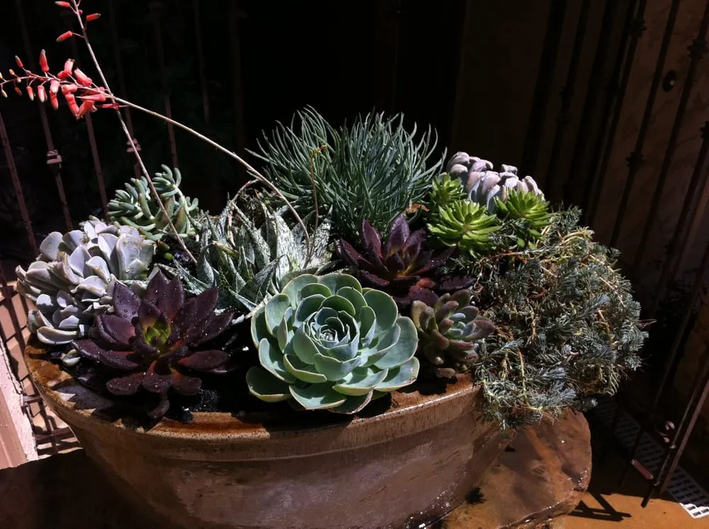 Custom yard cleanup service in Decatur, GA - CreativeSpaces LLC