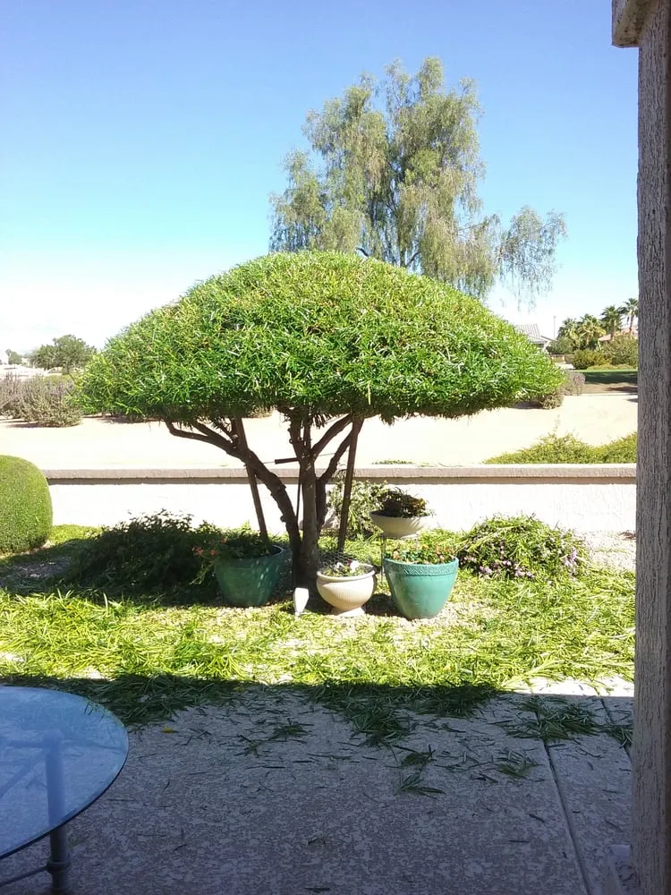 Local residential landscaping for outdoor upgrades across Surprise, AZ - CreativeTouch Landscaping, Maintenance & Irrigation