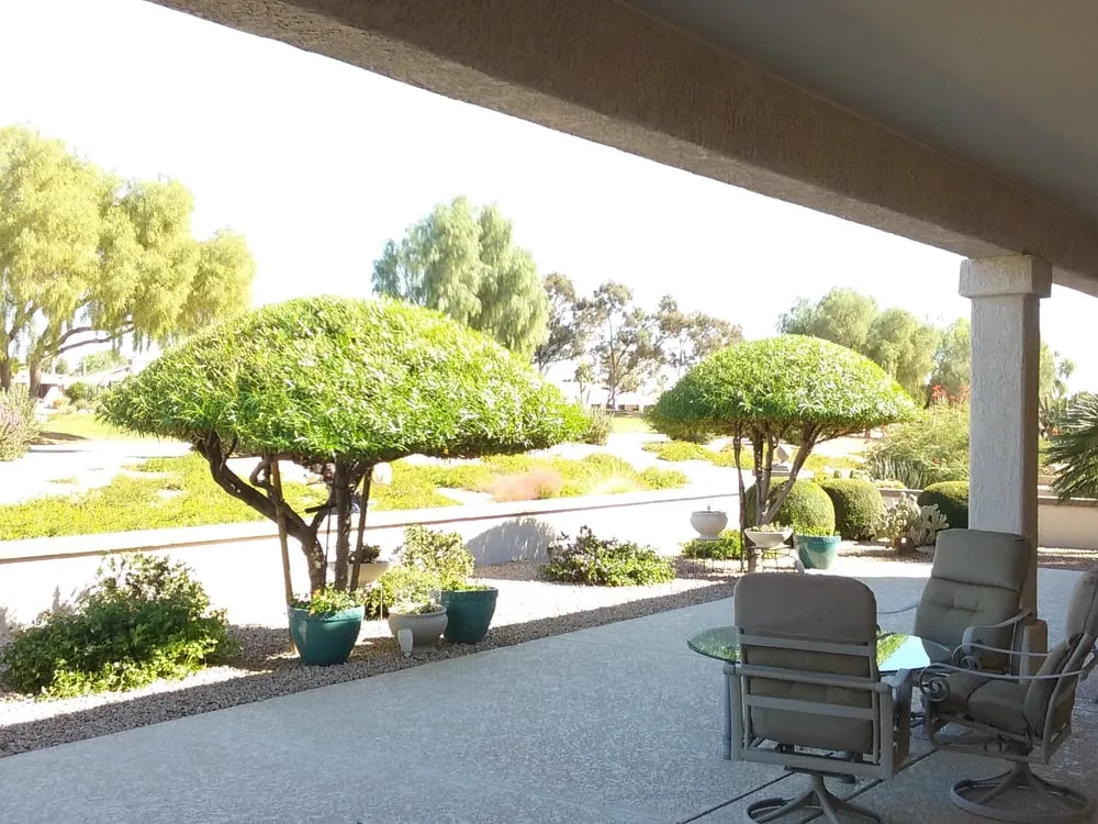 Affordable yard maintenance experts serving Surprise, AZ - CreativeTouch Landscaping, Maintenance & Irrigation