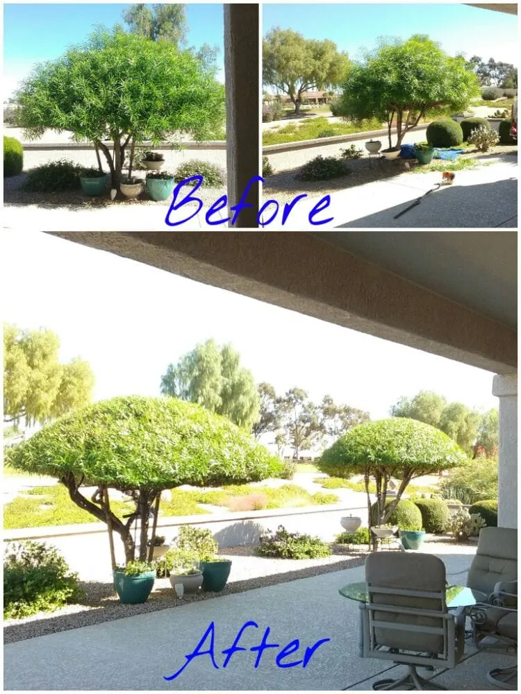Affordable landscape design for outdoor upgrades across Surprise, AZ - CreativeTouch Landscaping, Maintenance & Irrigation