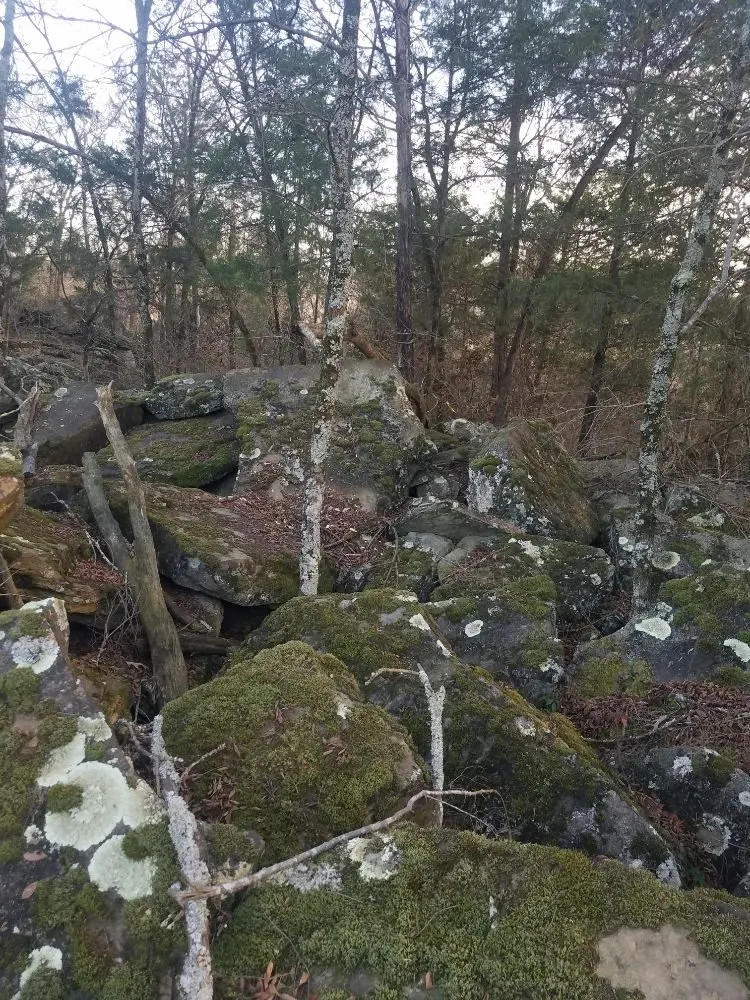 Custom garden landscaping in Paris, AR by Creator's Stone