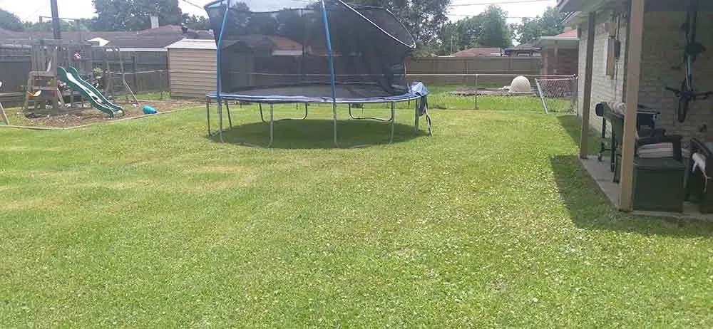 Trusted lawn mowing service for residential properties in Beaumont, TX by Credentials Lawn Maintenance