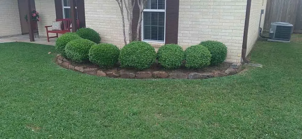 Professional yard maintenance near you in Beaumont, TX by Credentials Lawn Maintenance