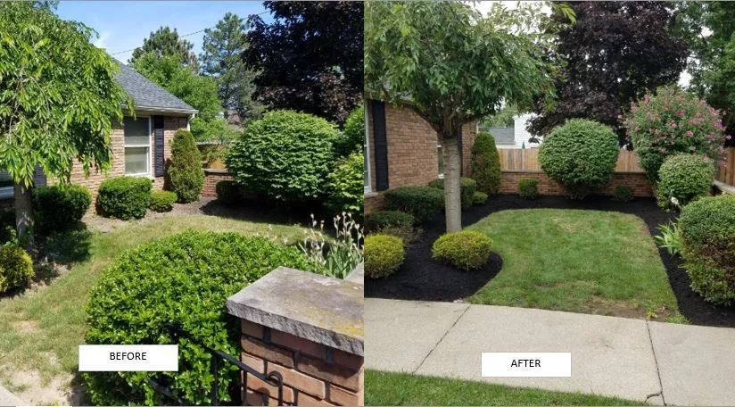 Professional lawn mowing service experts serving West Seneca, NY - Credible Home Services