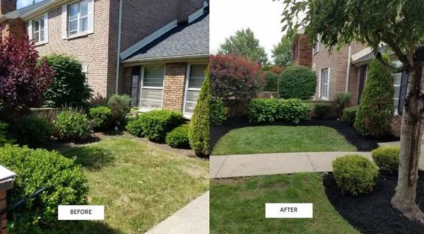 Credible Home Services Logo