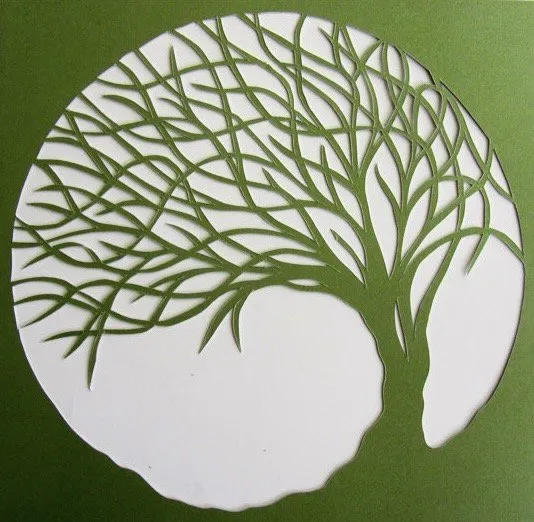 Affordable yard cleanup service in Aiken, SC - Creeds Hardscapes